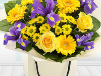 Bold & Beautiful Large Gift Bag