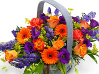 Funeral Vibrant Basket – TR13BSKVB01