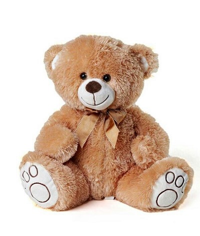 Brown Bear