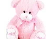 Baby Girl Pink Teddy – Local Delivery Only