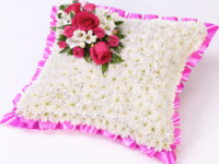 Based Ribbon Edge Cushion - CUS5