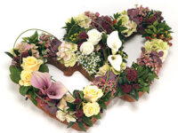 Double Open Grouped Heart - HEA1027