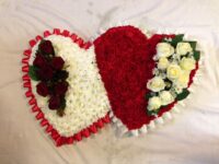 Double Solid Heart - HEA38