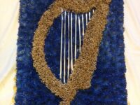 2D Harp