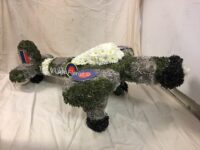 3D RAF Plane