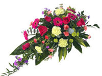 Vibrant Single Ended Spray - SESVIBRANT