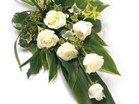 6 Rose Tied Sheaf - SHE1007