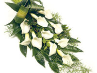 White Calla Tied Sheaf - SHE1011