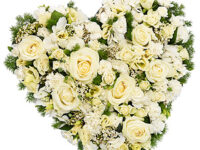 Loose White Heart - TR13HEAPR02