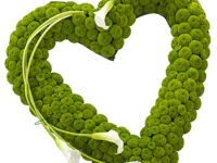 Green Based Open Heart - TR13HEAPR05