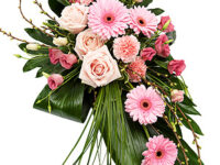 Pink Germini Single Ended Spray - TR13SESSF01