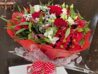 Queen Of Hearts Aquapack