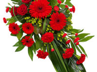 Red Single Ended Spray - TR13SESHT01