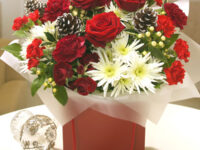 Red & White Large Gift Bag