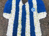 2D Brighton Football Shirt