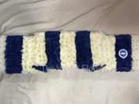 Brighton Football Scarf