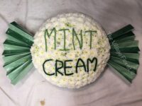 2D Mint Cream