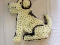 2D Dog In White