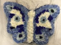 2D Blue & White Butterfly