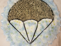 2D Parachute