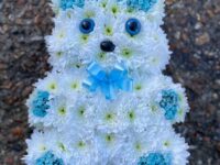 2D Small Teddy