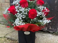 12 Red Rose Large Gift Bag