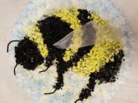 2D Bumble Bee
