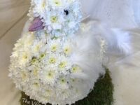 3D White Dove