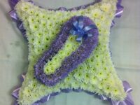 Cushion with 3D shoe
