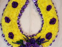Yellow & Purple Horseshoe
