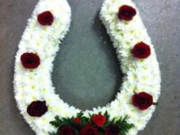 Red & White Horseshoe