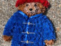 2D Paddington Bear