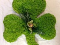 2D Green Shamrock